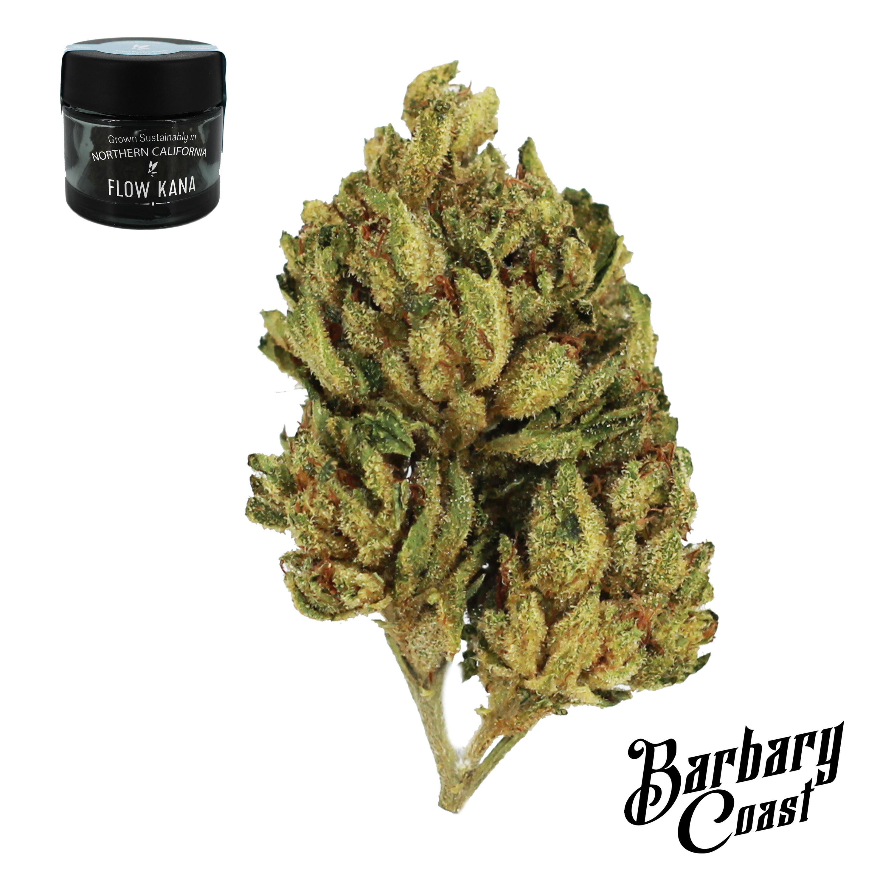 Love Humboldt OG